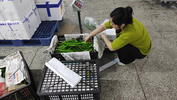 ̩��ʮ�h�J�C�ļҿ�